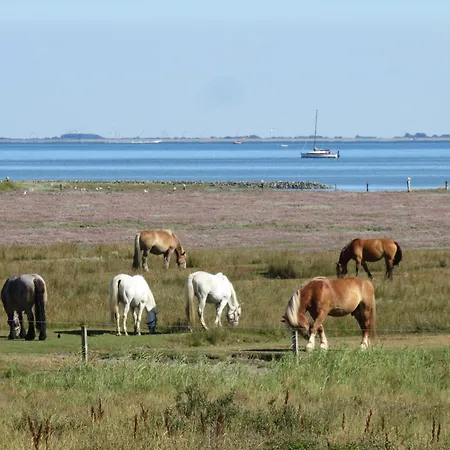 Haus Sturmfried 282 - Süd * Juist