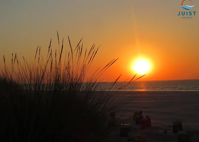 Haus Sturmfried 282 - Sued